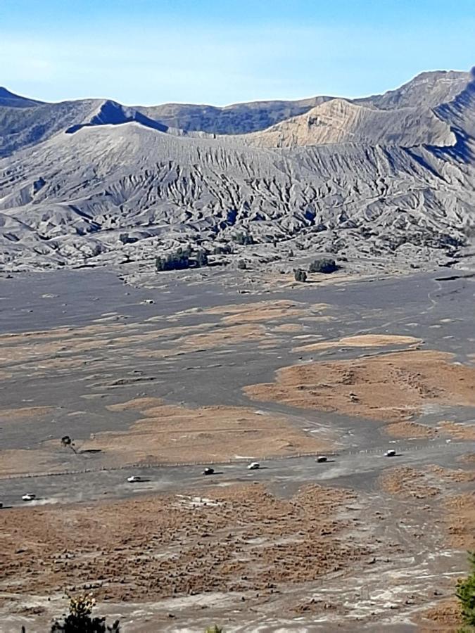 Отель Saputra View Bromo Проболинго Экстерьер фото